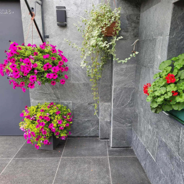 Płytka kamienna kwarcyt Grey naturalny 80x40x1,2 cm